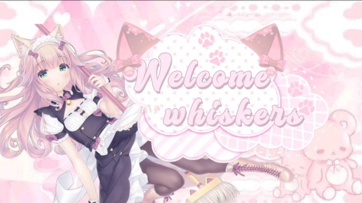 ꒰ა  whxxxskers    ۪  • social •  egirl banner