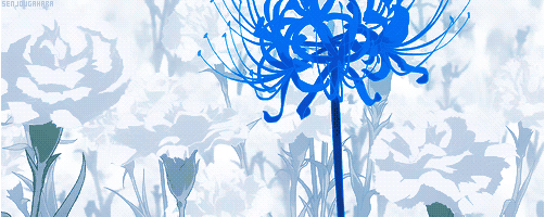 Winterz banner