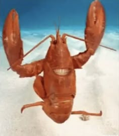 Lobsters ocean