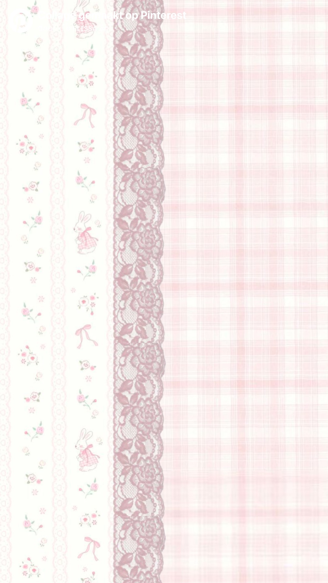 ✧ /𝘷𝘪𝘷𝘪𝘥𝘭𝘺 banner