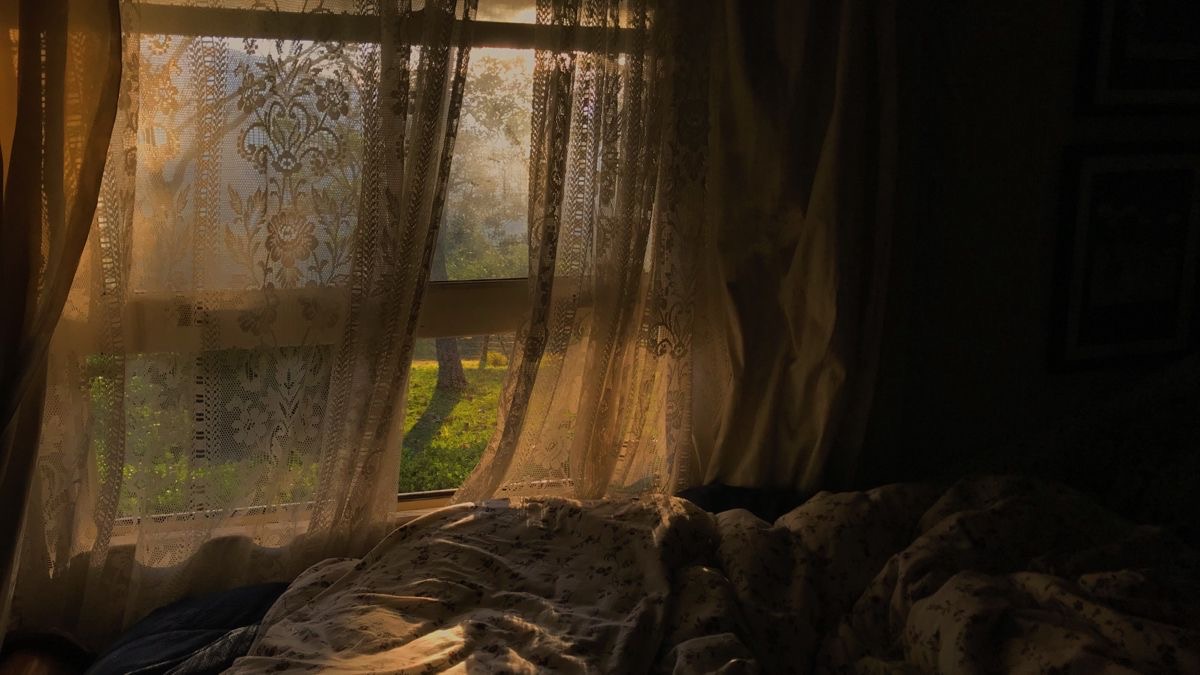 ꒰ 𝒸𝑜𝓏𝓎 𝒸𝓊𝓉𝒾𝑒𝓈 ꒱ banner