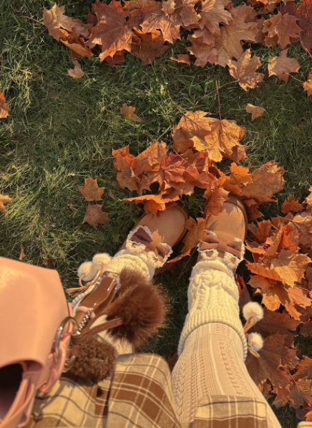 ୨୧・𝑽𝒆𝒍𝒐𝒖𝒓𝒂 🍂・Roblox・Rants・DMs Open・Active・୨୧