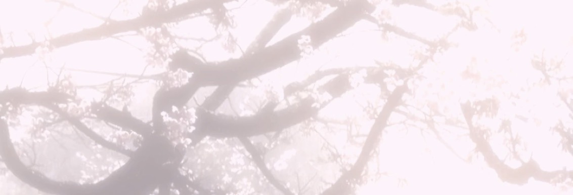 𝓢𝓽𝓻𝓪𝔀𝓫𝓮𝓻𝓻𝓲𝓮𝓼 ʚ🍓ɞ banner