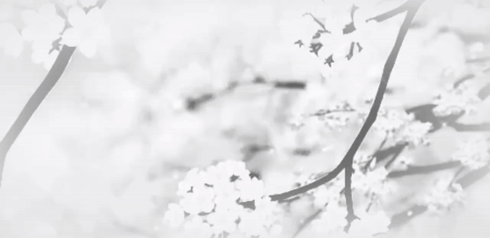 𝒞𝑒𝓁𝑒𝓈𝓉𝑒 ⟡ ∘ ⋆ ୨୧ ₊˚⊹ ༘ banner